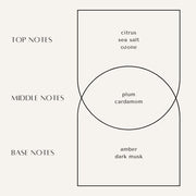 Noir Wax Melts - The Noble Brand, LLC