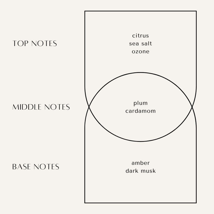 Noir Room Mist - The Noble Brand, LLC